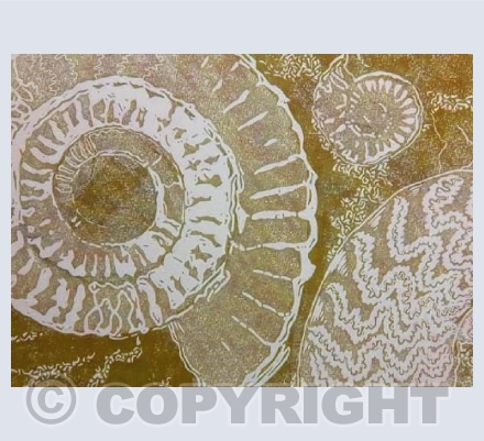 Kilve Ammonites, Ochre