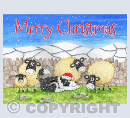 Christmas Sheep
