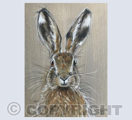 Harry The Hare