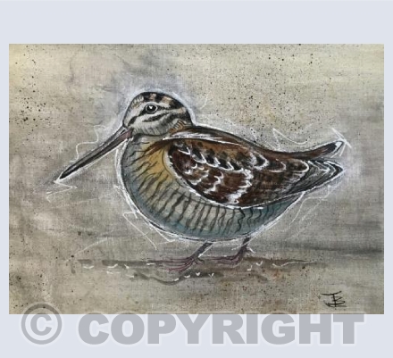 Woody Woodcock