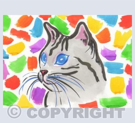 Colourful Cat