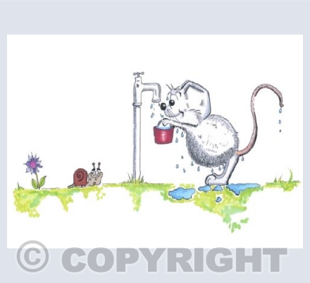 Water mouse