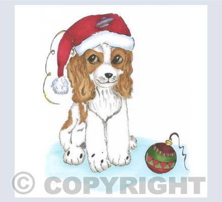 Santa's Little Helper