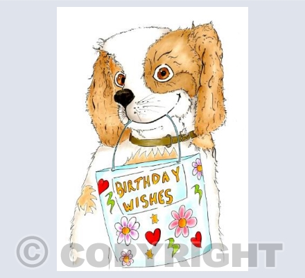 Birthday Spaniel