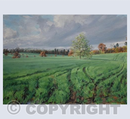 Field in Late October