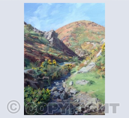 Carding Mill Valley