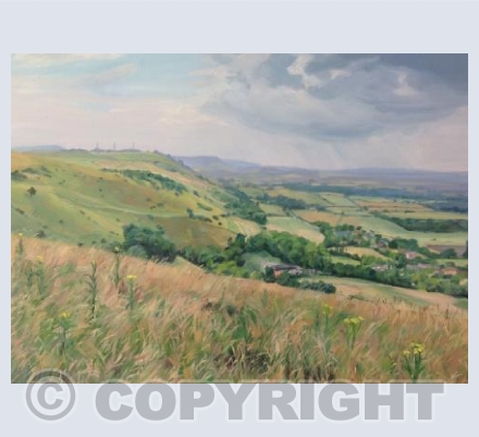 South Downs Landscape