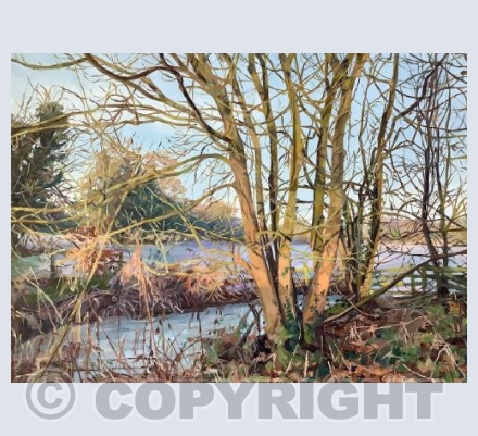 Frosty Morning