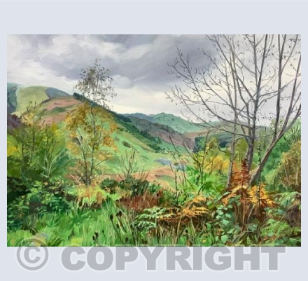 Welsh Landscape, Corris
