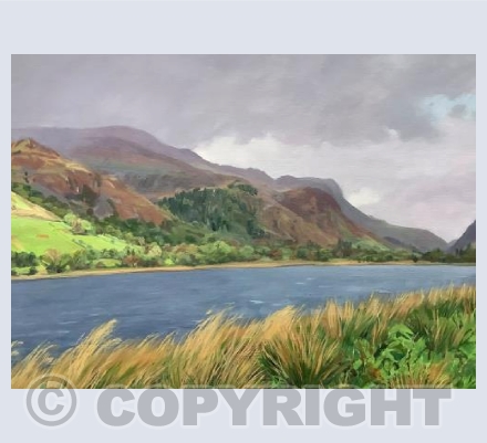 Lake Mwyngil, Tal-y-Llyn 