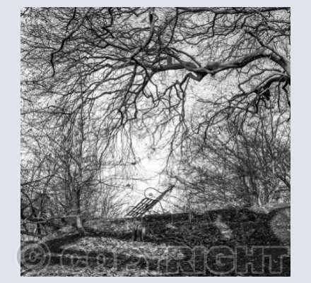 In The Plantation, Devizes