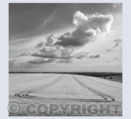 From the Wansdyke