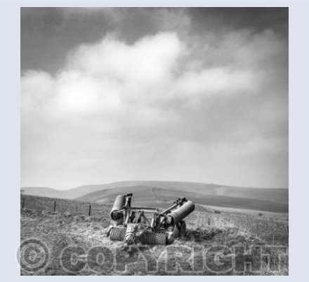 On Milk Hill