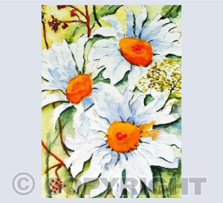 Daisy Trio