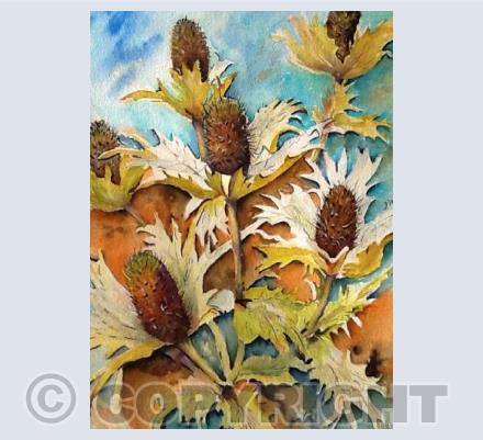 Sea Holly