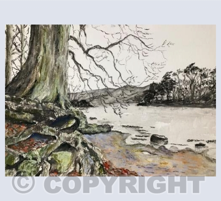 Derwent Roots