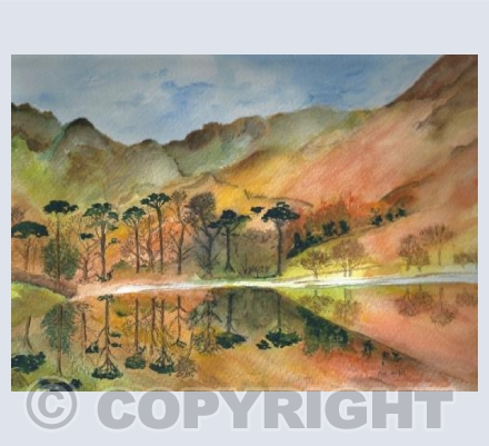 Beautiful Buttermere