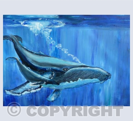 Humpback Whale and Calf