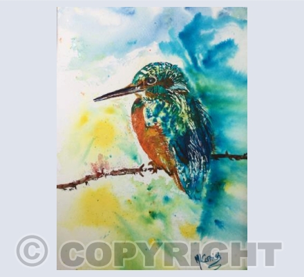 Kingfisher
