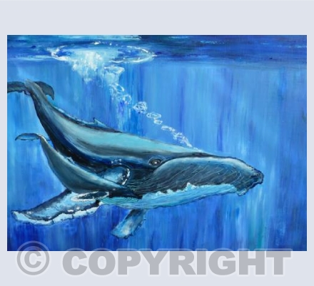 Humpback Whale and Calf