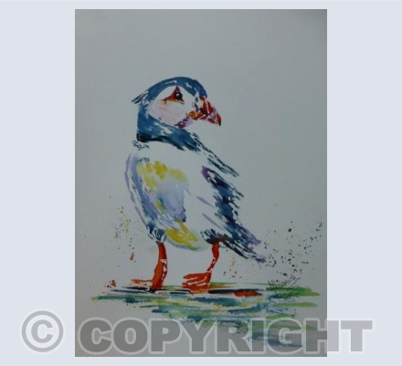 Puffin 