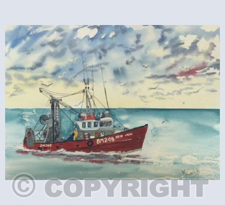 Exmouth Trawler