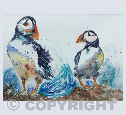 Puffins Pair