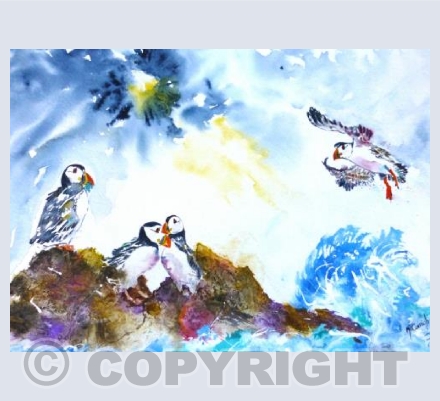happy Puffins