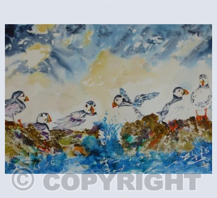 Puffins in a Storm