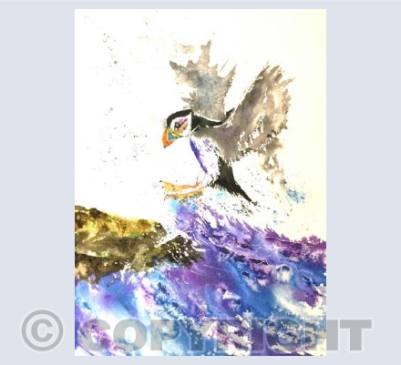 Puffin Landing