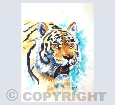 Tiger Eyes