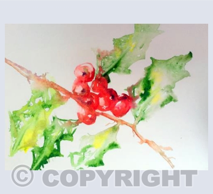 Winter Berries