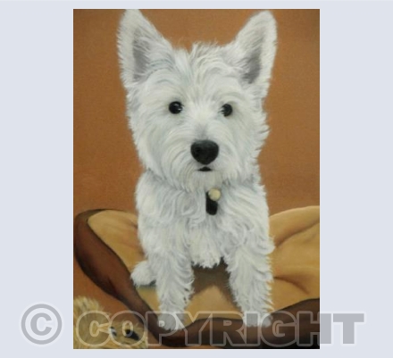 HAMISH