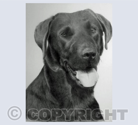 Merlin