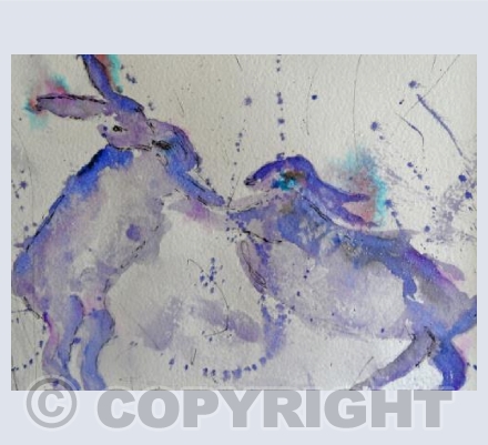 purple hares