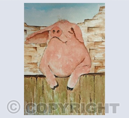 piggy
