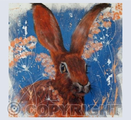 copper hare