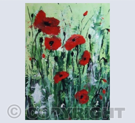 poppies1