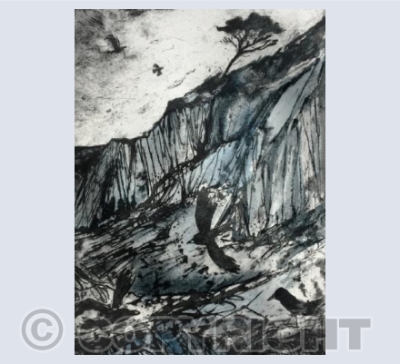 Tideline scavengers, Lee Bay 