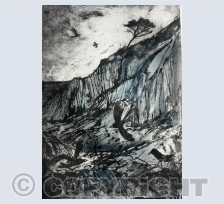 Tideline Scavengers Lee Bay