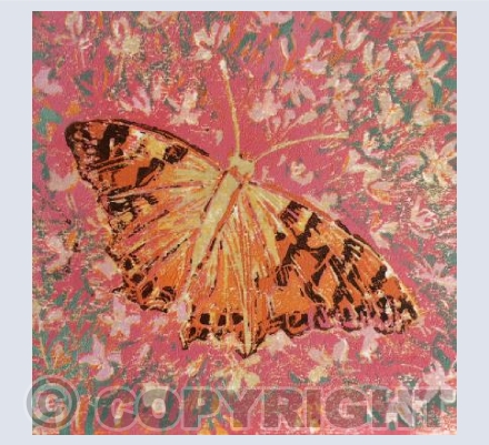 Painted lady butterfly 