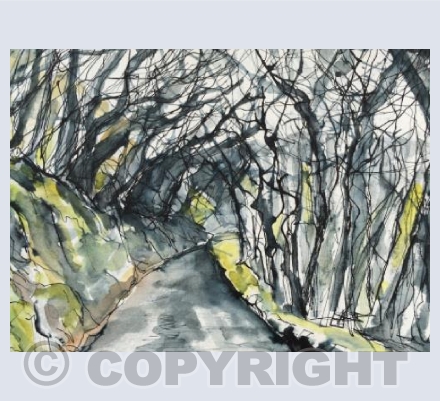 Exmoor Trees,Heddon Valley 