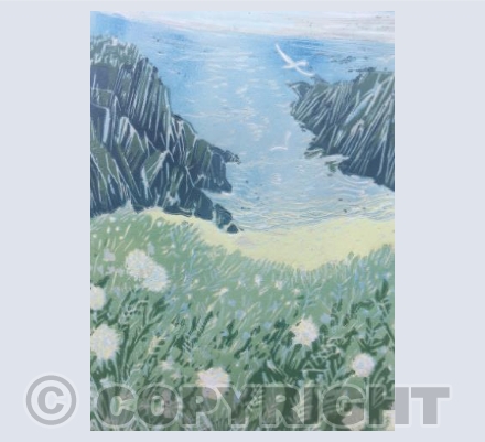 Dandelion clocks above Barricane beach 