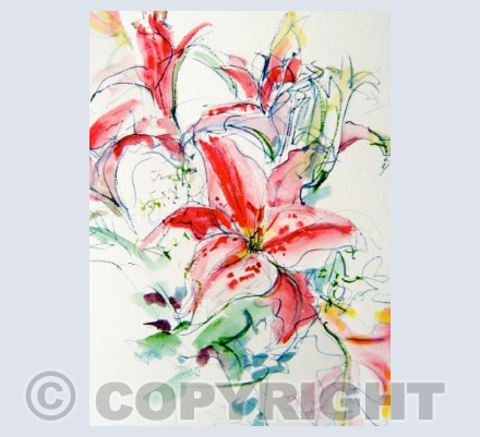 Stargazer Lilies