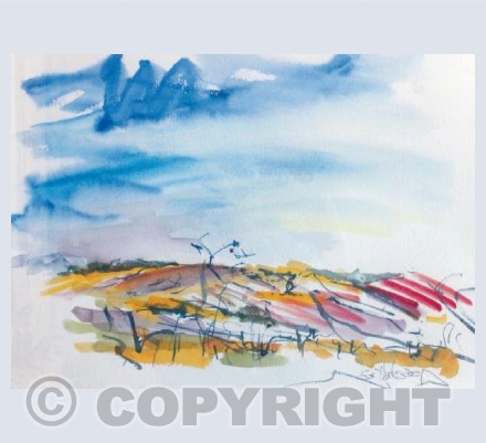 Harvest time on the Ridgeway