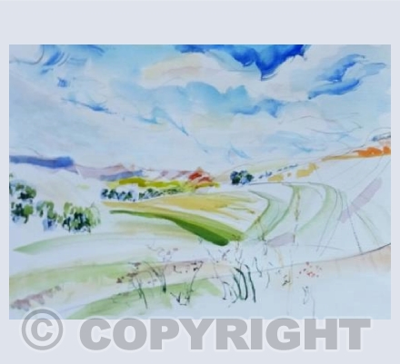 Wiltshire Downs