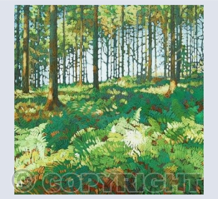 Bracken Wood 2