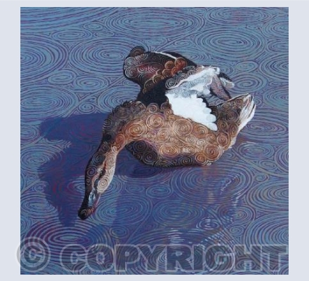 Mallard