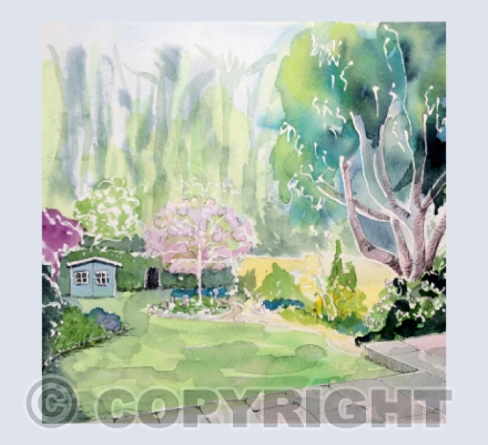 Sian's garden