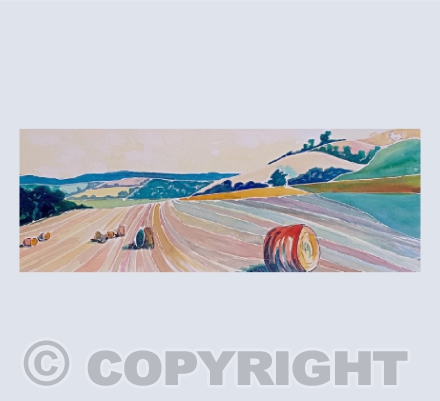 Harvest, Westbury Whitehorse, Wiltshire
